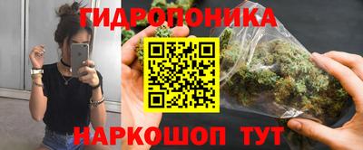 a pvp Аргун