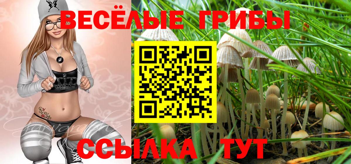 Псилоцибиновые грибы мухоморы Асино