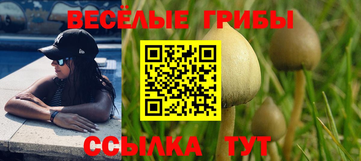 Галлюциногенные грибы Psilocybine cubensis  Галлюциногенные грибы GOLDEN TEACHER  Асино  наркошоп  Вход с VPN 